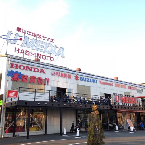 ユーメディア橋本