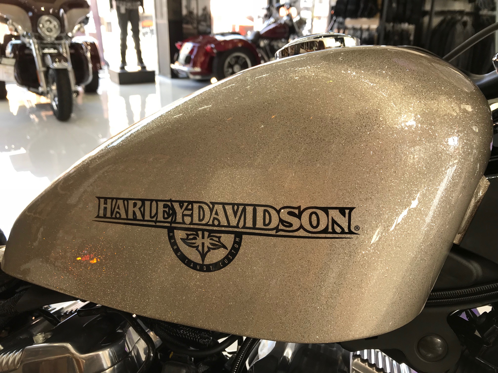 2018年モデル続々と入荷中！ [最新情報] | U-MEDIA (ユー