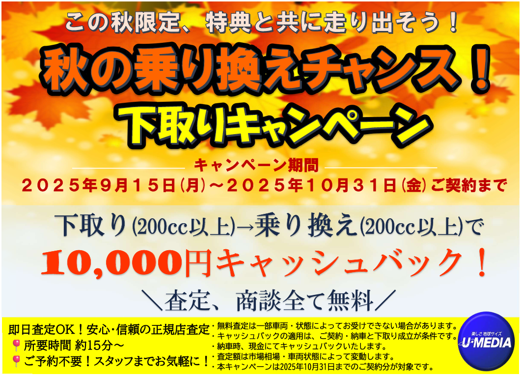 記事イメージ