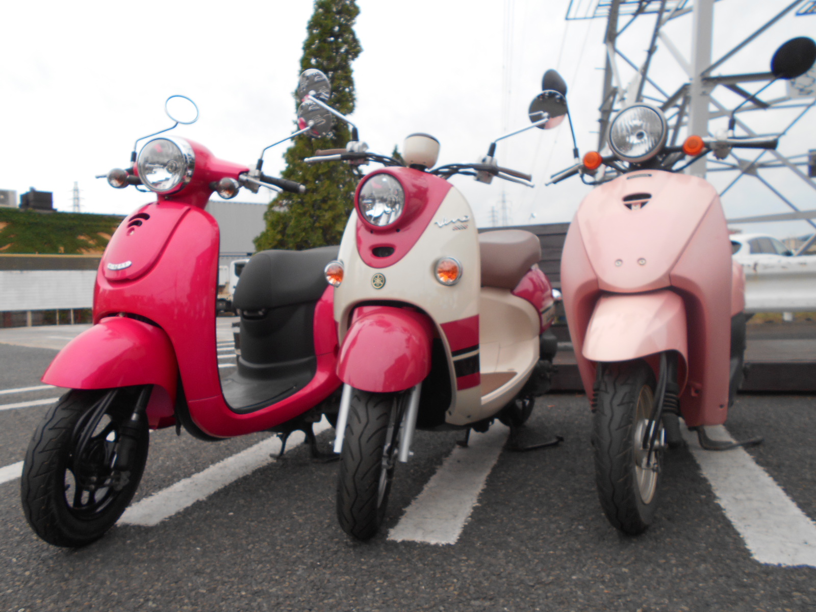 ピンクな原付 最新情報 U Media ユーメディア 中古バイク 新車バイク探しの決定版 神奈川 東京でバイク 探すならユーメディア